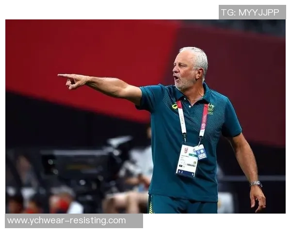 威尔斯与丹麦激战正酣球迷期待精彩对决与历史交锋