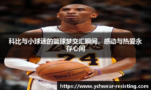 三亿体育官方网站