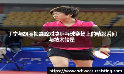 丁宁与胡丽梅巅峰对决乒乓球赛场上的精彩瞬间与技术较量